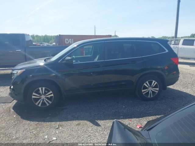 5FNYF6H51HB091555 Honda Pilot Ex-l