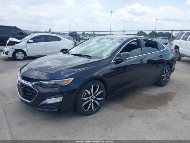 2020 CHEVROLET MALIBU 1G1ZG5ST3LF143817 Photo 1
