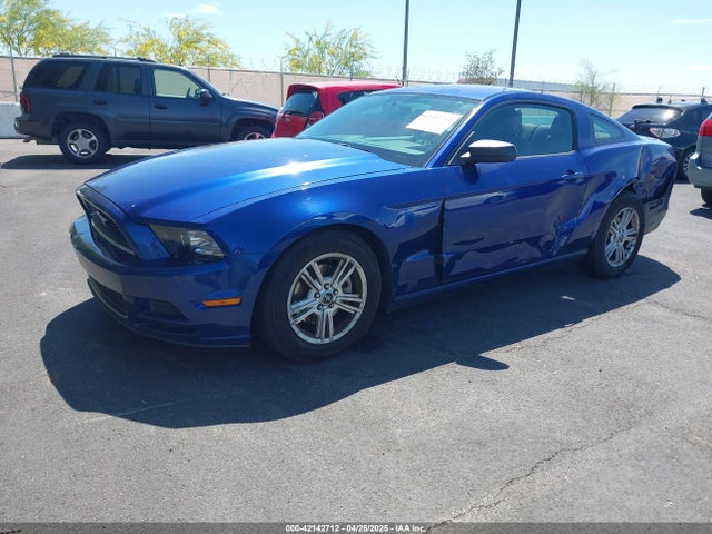 1ZVBP8AM2E5261271 Ford Mustang V6