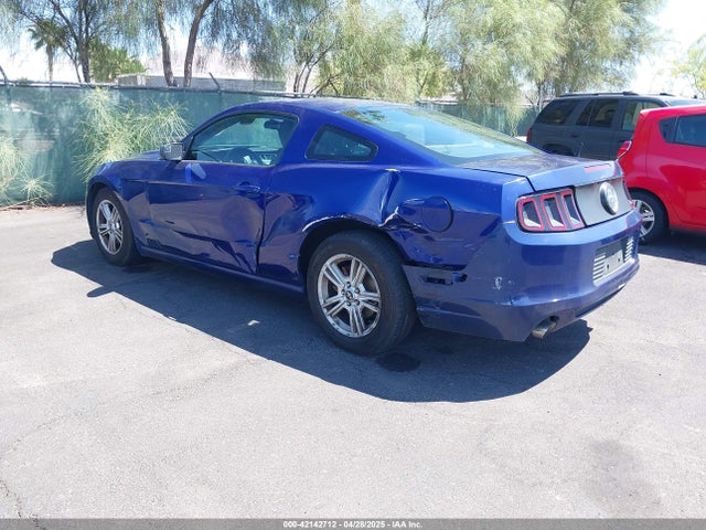 1ZVBP8AM2E5261271 Ford Mustang V6
