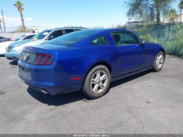 1ZVBP8AM2E5261271 Ford Mustang V6