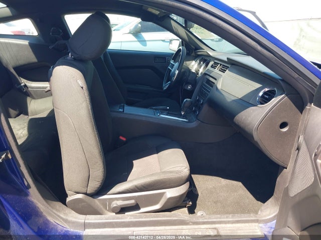 1ZVBP8AM2E5261271 Ford Mustang V6