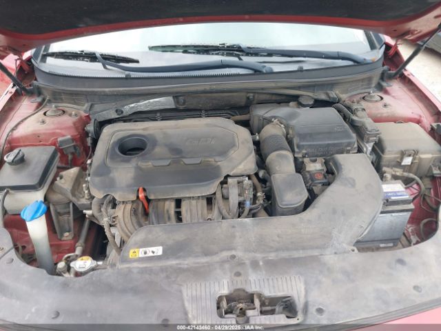 5NPE24AF1HH522600 Hyundai Sonata