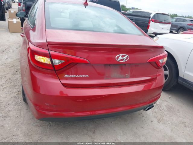 5NPE24AF1HH522600 Hyundai Sonata