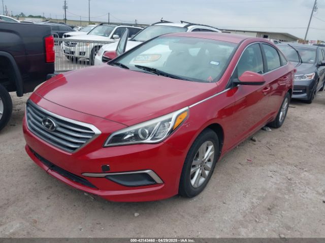 5NPE24AF1HH522600 Hyundai Sonata