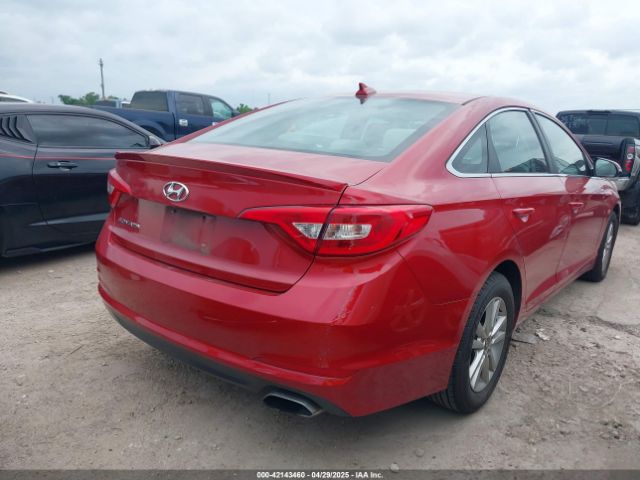 5NPE24AF1HH522600 Hyundai Sonata