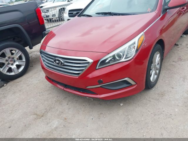 5NPE24AF1HH522600 Hyundai Sonata