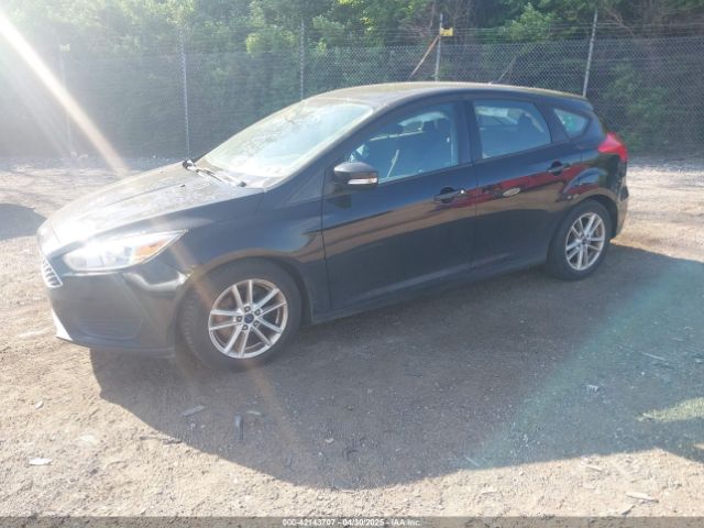 1FADP3KE6GL240692 Ford FOCUS SE