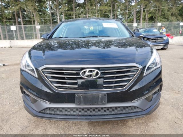 5NPE34AF5GH297917 Hyundai Sonata Limited