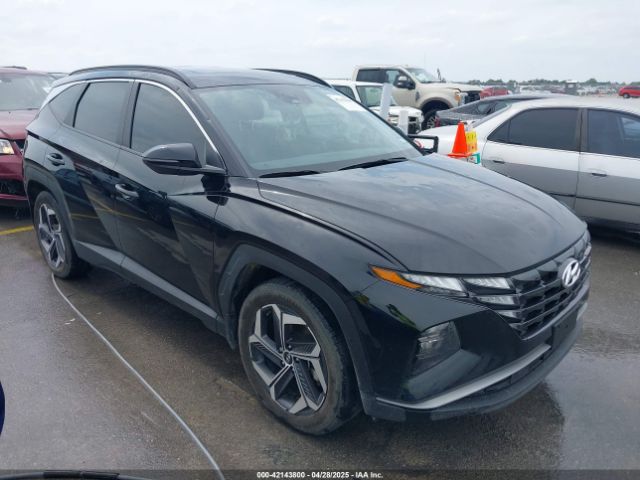 2024 HYUNDAI TUCSON 5NMJF3DE6RH401401