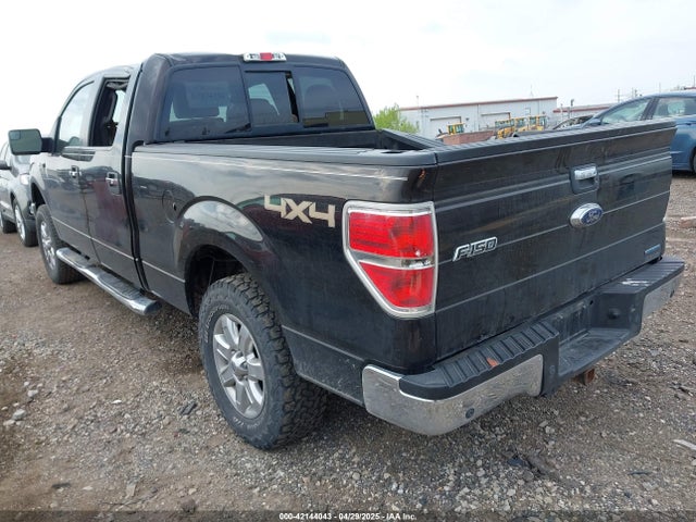 1FTFW1EF0EKF14390 Ford F-150 Xlt