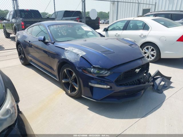 2019 FORD MUSTANG 1FA6P8TH5K5157279