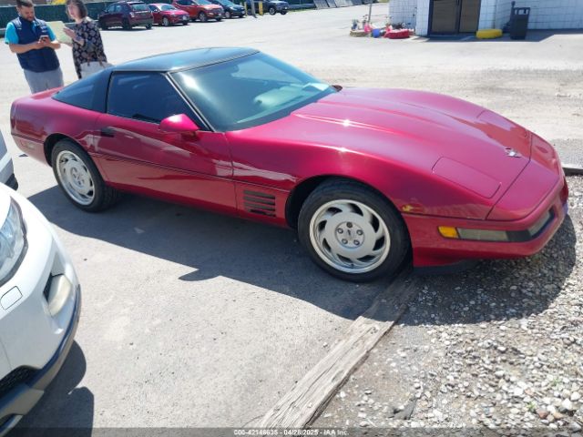 1992 CHEVROLET CORVETTE 1G1YY23P4N5102033