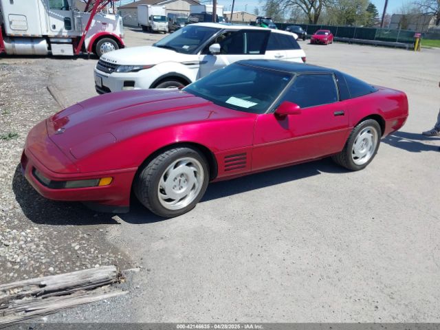 1992 CHEVROLET CORVETTE 1G1YY23P4N5102033 Photo 1