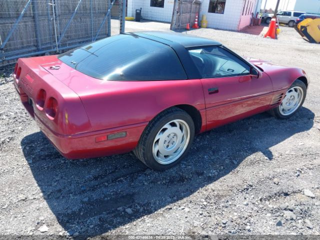 1992 CHEVROLET CORVETTE 1G1YY23P4N5102033 Photo 3