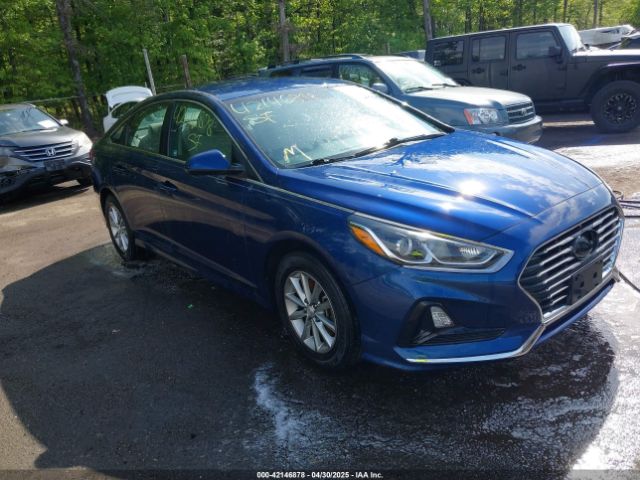 2019 HYUNDAI SONATA 5NPE24AF4KH780973