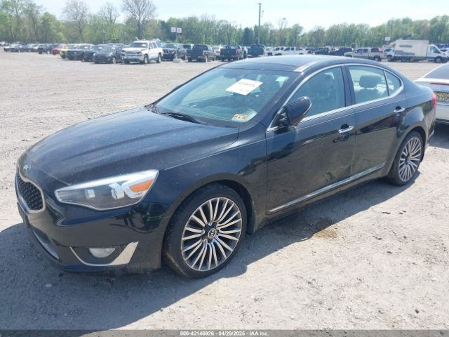 KNALN4D7XF5176267 KIA Cadenza Premium