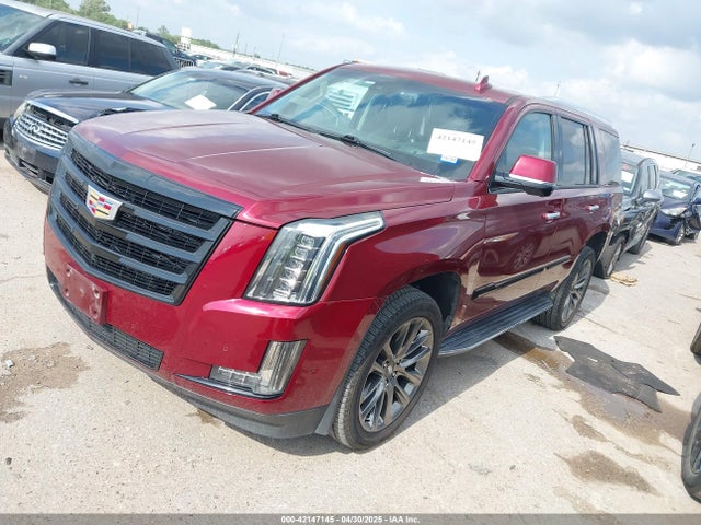 2019 CADILLAC ESCALADE 1GYS3BKJ7KR342801 Photo 1