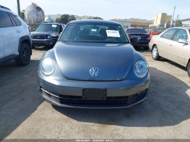 3VWF17AT6GM625810 Volkswagen Beetle 1.8t Fleet Edition