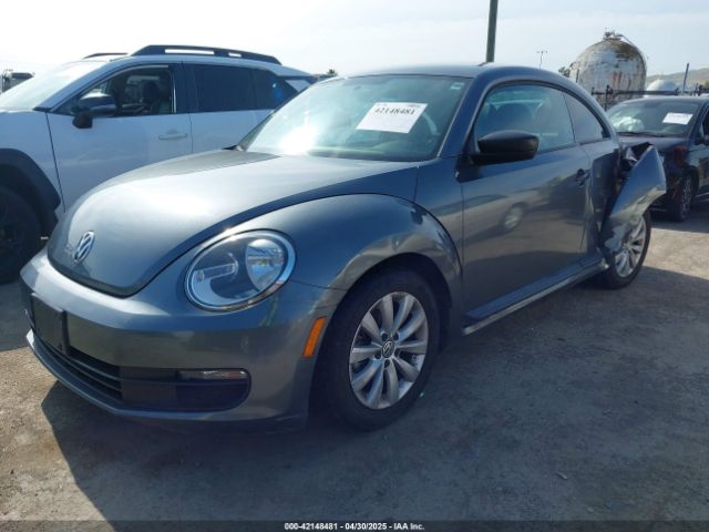 3VWF17AT6GM625810 Volkswagen Beetle 1.8t Fleet Edition