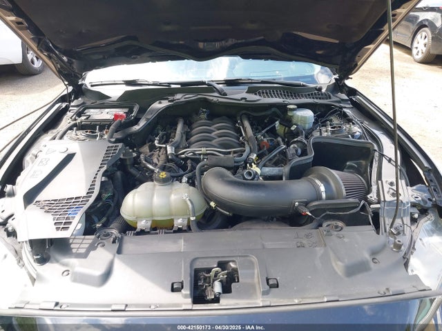 1FA6P8CF3N5133730 Ford Mustang Gt Fastback