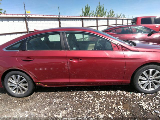 5NPE34AF8GH309672 Hyundai Sonata Sport