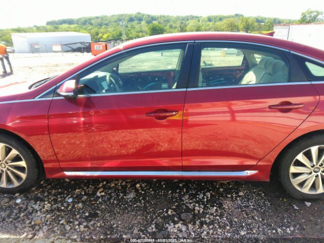 5NPE34AF8GH309672 Hyundai Sonata Sport
