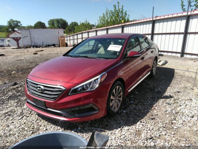 5NPE34AF8GH309672 Hyundai Sonata Sport