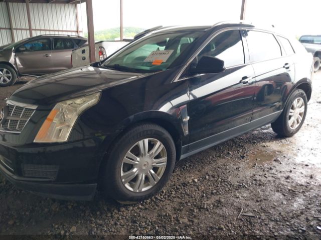 2011 CADILLAC SRX 3GYFNAEY3BS565204 Photo 1