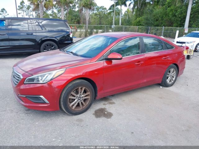 5NPE24AF0HH540294 Hyundai Sonata