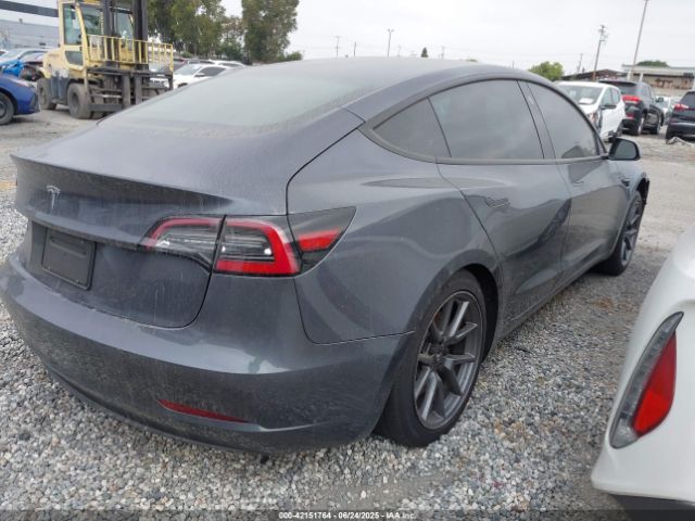 2023 TESLA MODEL 3 5YJ3E1EAXPF403095 Photo 3