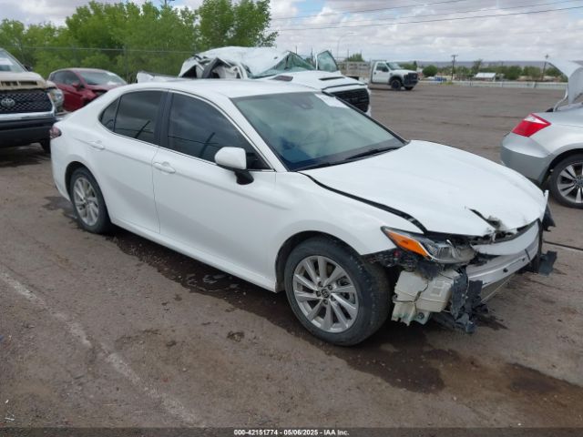 4T1C11AK8MU533904 Toyota CAMRY LE