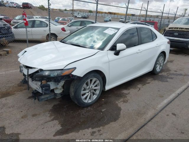 4T1C11AK8MU533904 Toyota CAMRY LE