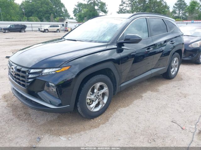 5NMJB3AE8PH188612 Hyundai TUCSON SEL