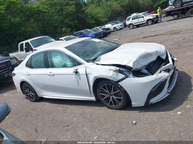 4T1G11AK3PU784979 Toyota CAMRY SE