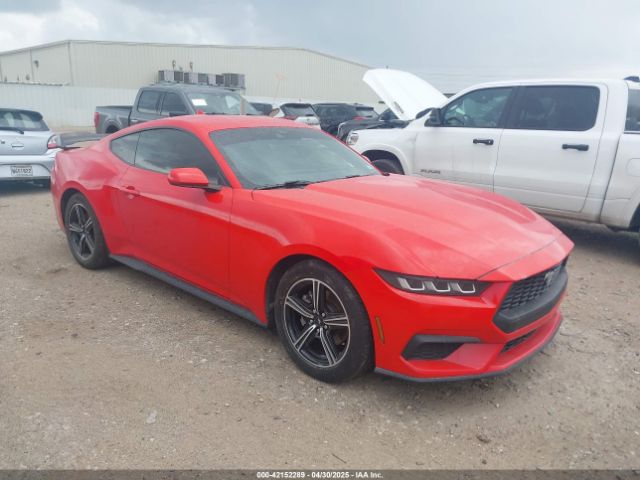2024 FORD MUSTANG 1FA6P8TH7R5106652