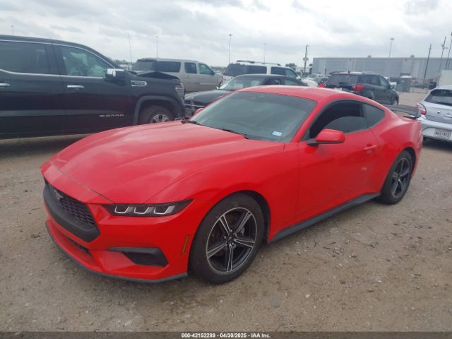 2024 FORD MUSTANG 1FA6P8TH7R5106652 Photo 1