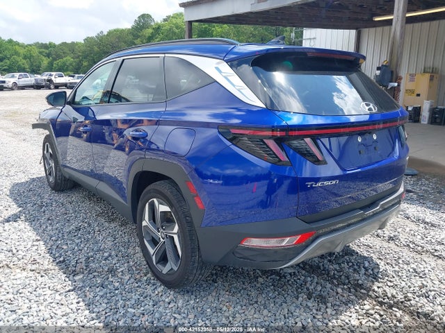 Hyundai Tucson Limited 2024 5NMJECDE5RH355143 Image 3