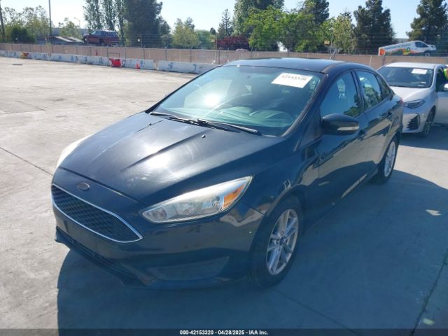 1FADP3F23FL313614 Ford FOCUS SE