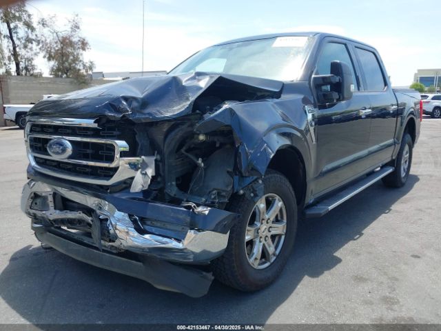 1FTFW1E80MKD41289 Ford F-150 Xlt