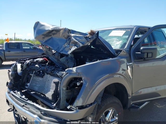 1FTFW3L55SKD38180 Ford F-150 Xlt