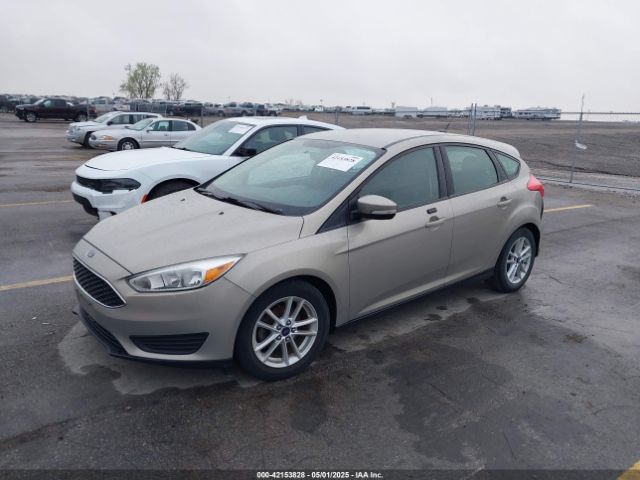 1FADP3K21FL211511 Ford FOCUS SE