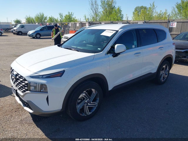 5NMS24AJXPH562533 Hyundai Santa Fe Sel