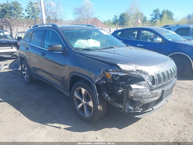 2019 JEEP CHEROKEE 1C4PJMDN5KD169421