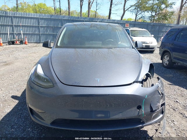 7SAYGDEE9PA170556 Tesla 2023
