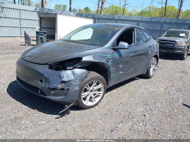2023 TESLA MODEL Y 7SAYGDEE9PA170556 Photo 1