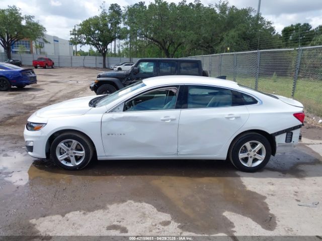 1G1ZC5ST3RF226197 Chevrolet Malibu Fwd 1fl