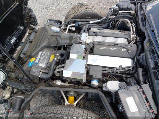 1992 CHEVROLET CORVETTE 1G1YY23P9N5107499 Photo 9