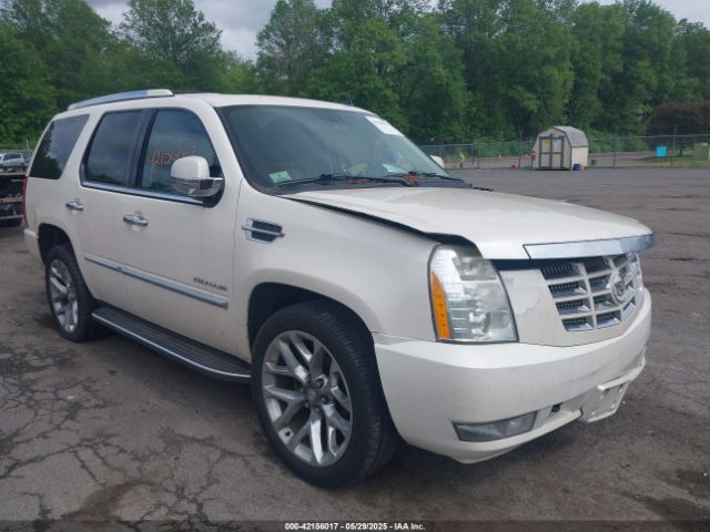 2010 CADILLAC ESCALADE 1GYUKBEFXAR101977