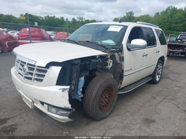 2010 CADILLAC ESCALADE 1GYUKBEFXAR101977 Photo 1